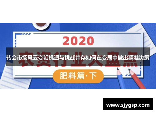 转会市场风云变幻机遇与挑战并存如何在变局中做出精准决策