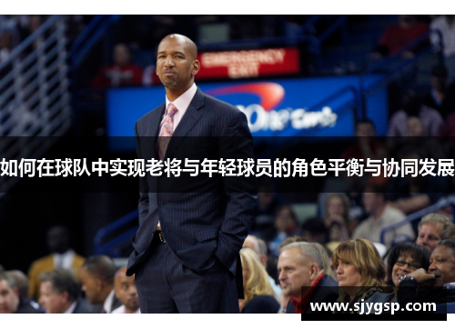 如何在球队中实现老将与年轻球员的角色平衡与协同发展