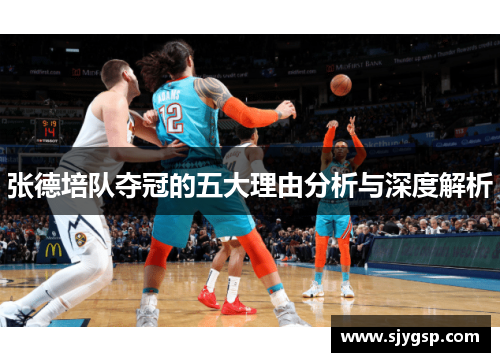 张德培队夺冠的五大理由分析与深度解析