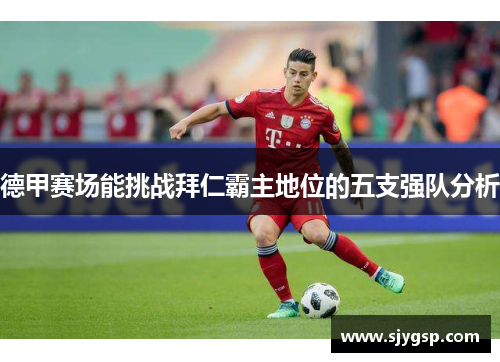 德甲赛场能挑战拜仁霸主地位的五支强队分析