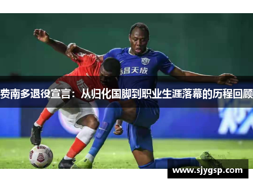 费南多退役宣言：从归化国脚到职业生涯落幕的历程回顾